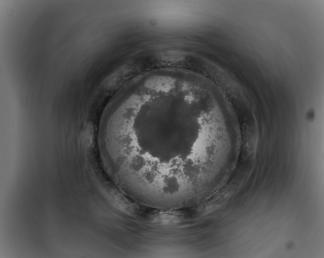 X0000101400758200807141156