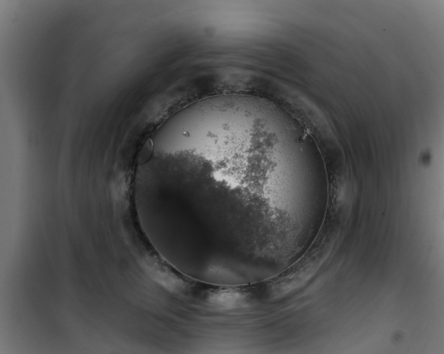 X0000101400759200807141156