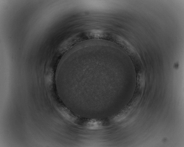 X0000101400760200807141156