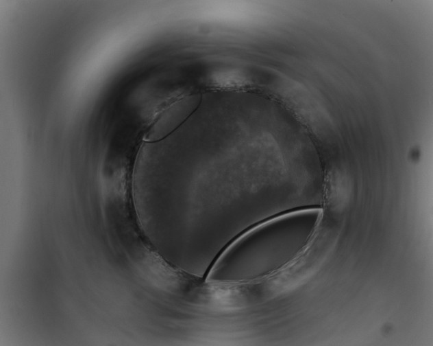 X0000101400762200807141156