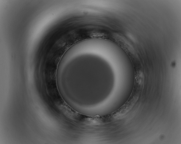 X0000101400763200807141156