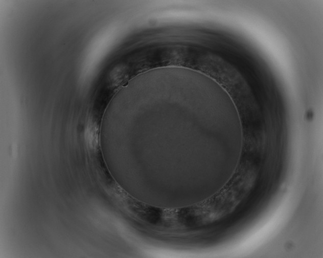 X0000101400766200807141156