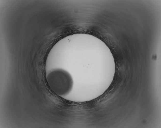 X0000101400769200807141156