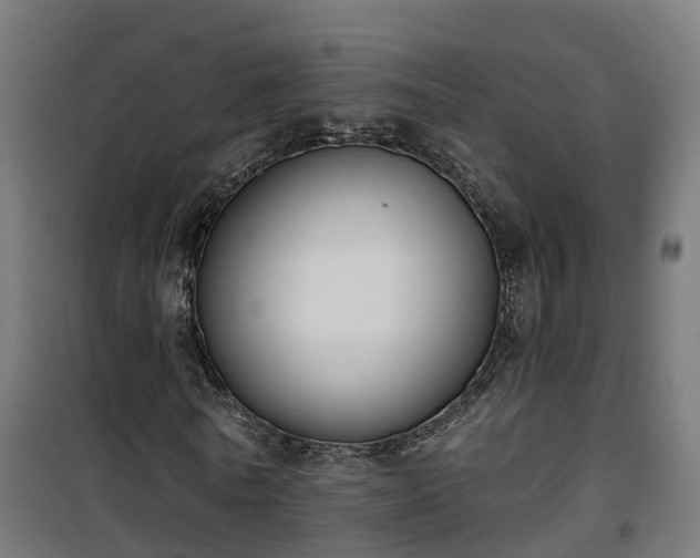 X0000101400770200807141156