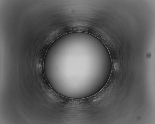 X0000101400771200807141156