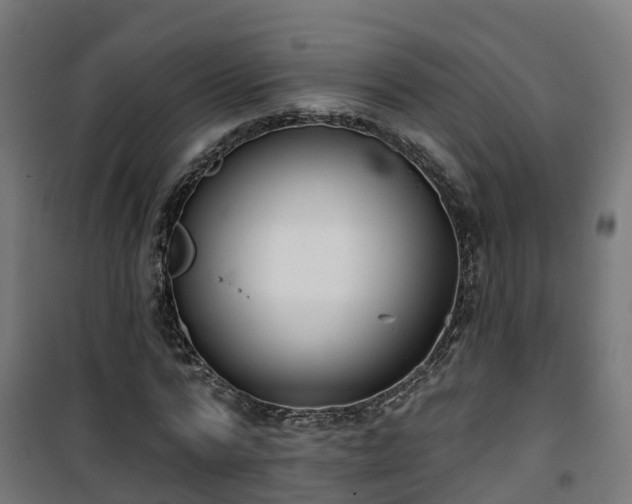 X0000101400776200807141156