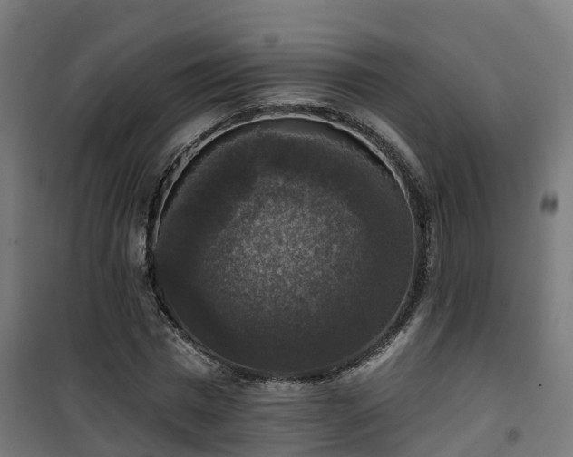 X0000101400777200807141156