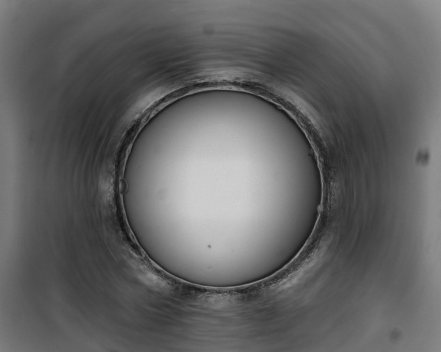 X0000101400778200807141156