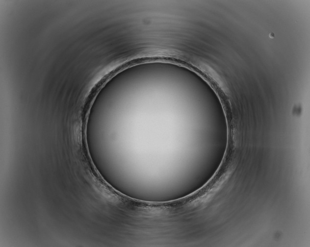 X0000101400781200807141156