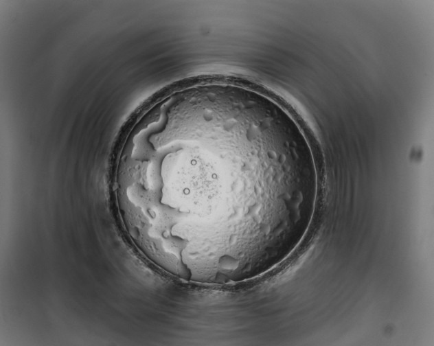 X0000101400783200807141156