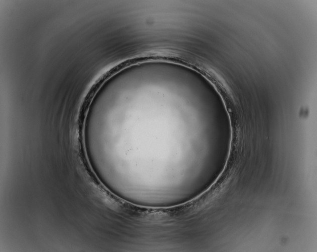 X0000101400784200807141156