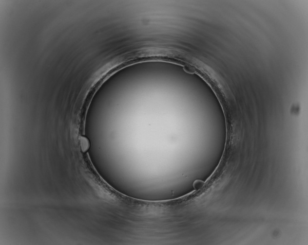 X0000101400786200807141156