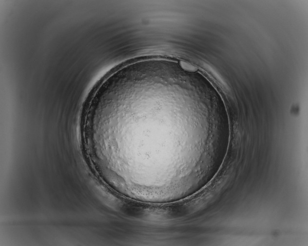 X0000101400788200807141156