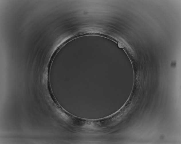 X0000101400790200807141156