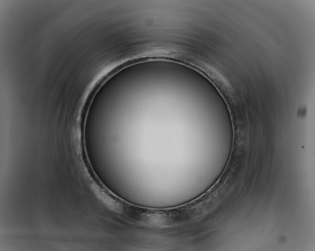 X0000101400792200807141156