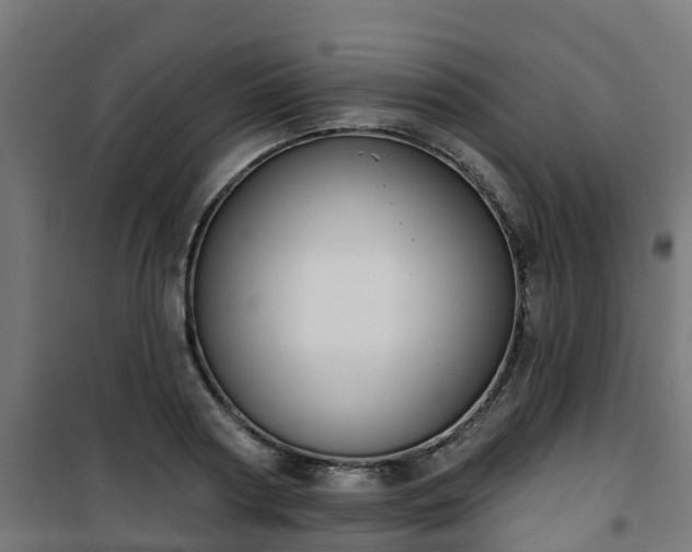 X0000101400794200807141155