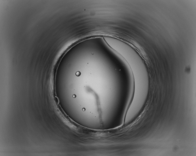 X0000101400796200807141155