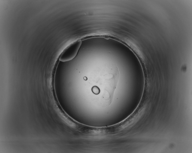 X0000101400797200807141155