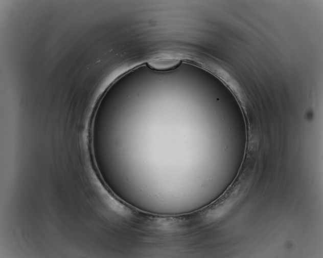 X0000101400803200807141155