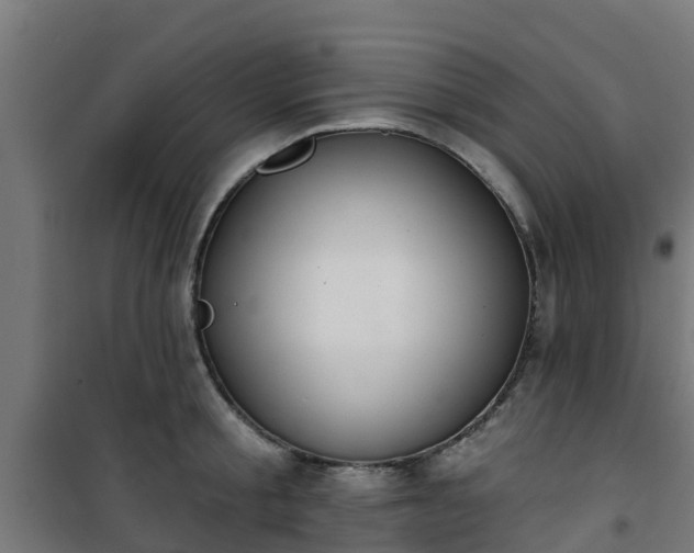 X0000101400805200807141155