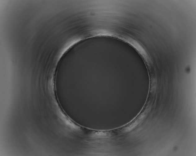 X0000101400806200807141155