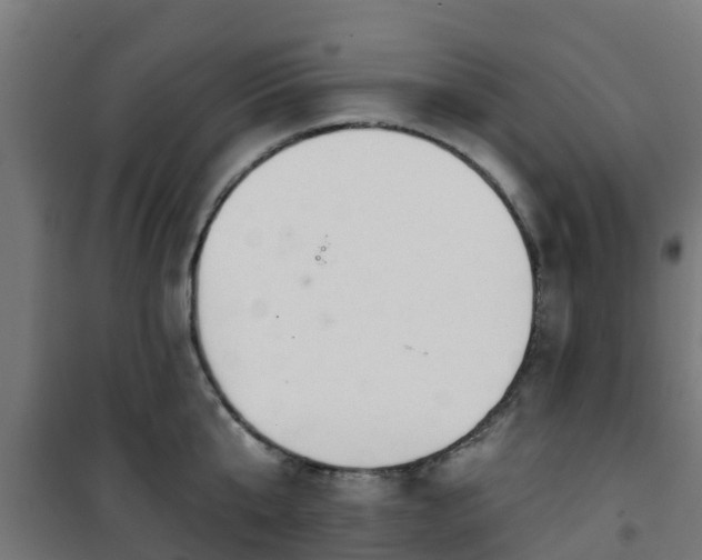 X0000101400807200807141155