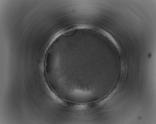 X0000101400810200807141155