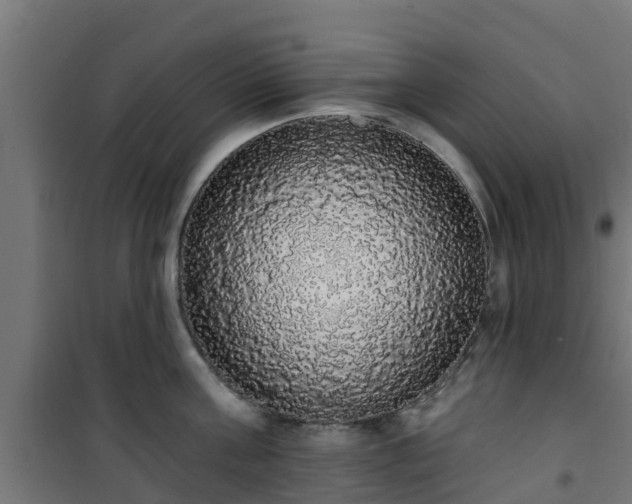 X0000101400811200807141155