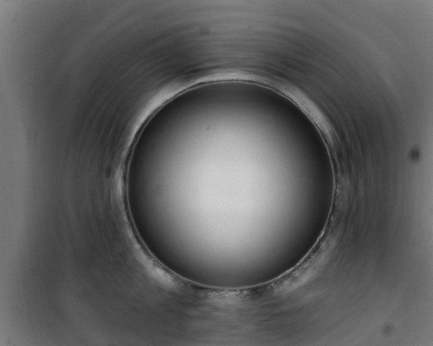 X0000101400813200807141155