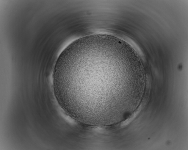 X0000101400814200807141155