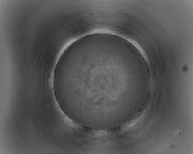 X0000101400815200807141155