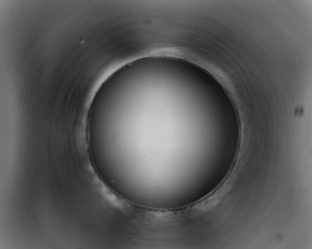 X0000101400816200807141155