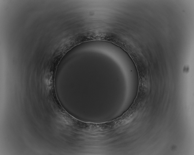 X0000101400818200807141154