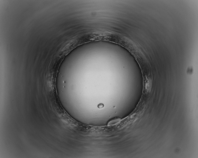 X0000101400819200807141154