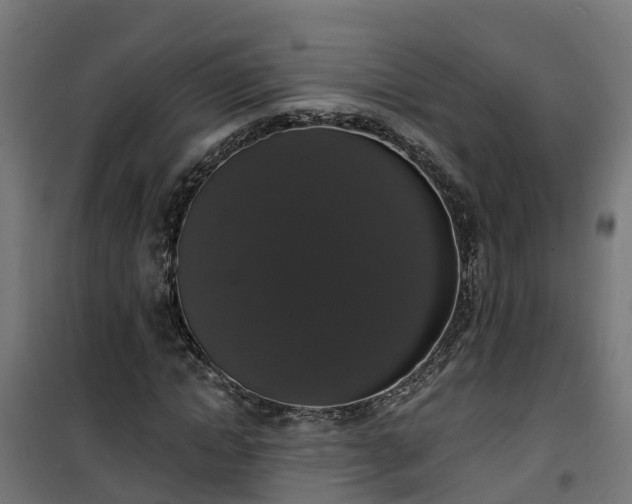 X0000101400822200807141154