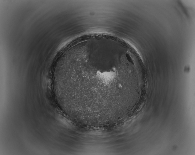 X0000101400823200807141154