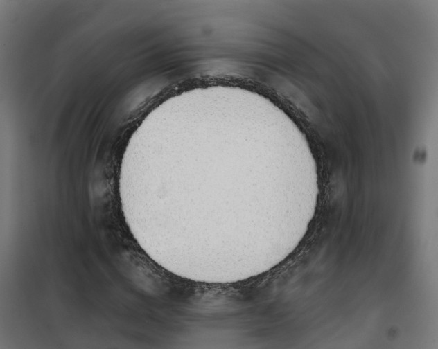 X0000101400824200807141154