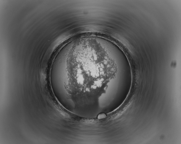 X0000101400826200807141154