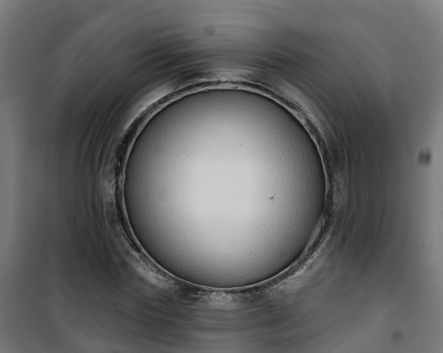 X0000101400827200807141154