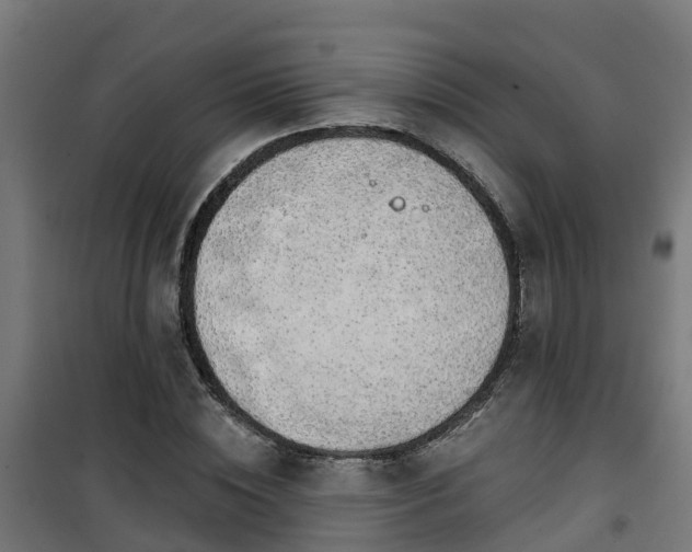 X0000101400828200807141155