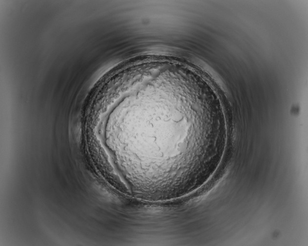 X0000101400829200807141155