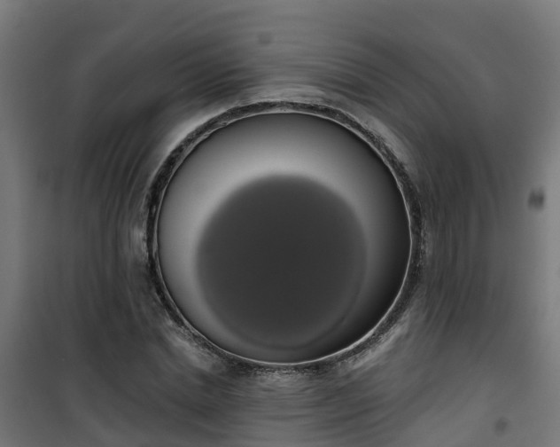 X0000101400830200807141155