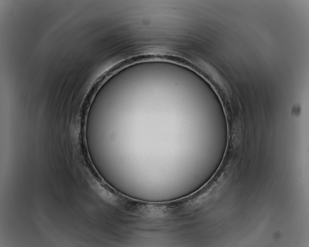 X0000101400831200807141155