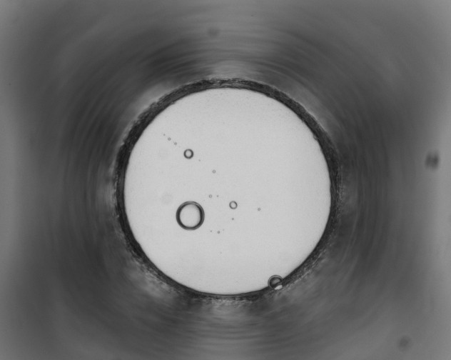 X0000101400832200807141155