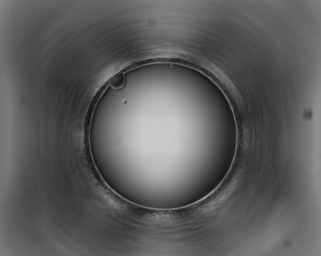 X0000101400834200807141155