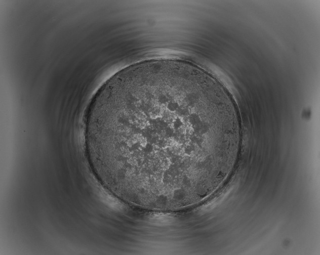 X0000101400835200807141155