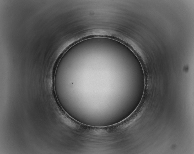 X0000101400837200807141155