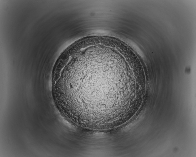 X0000101400839200807141155