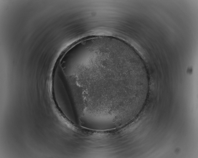 X0000101400840200807141155