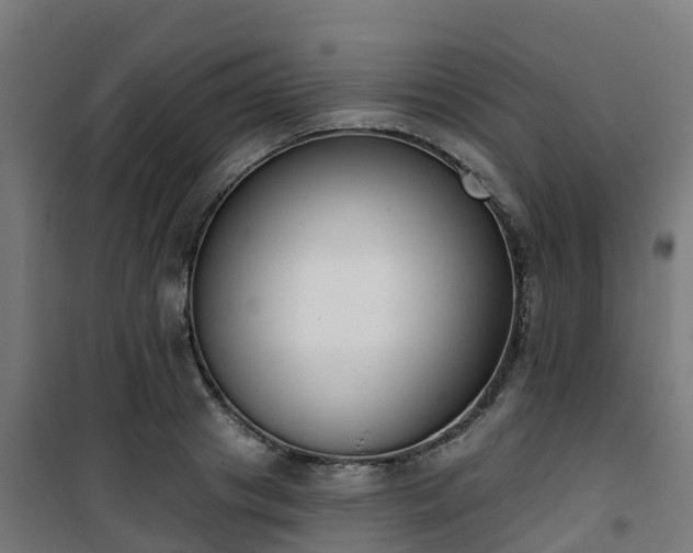 X0000101400841200807141155